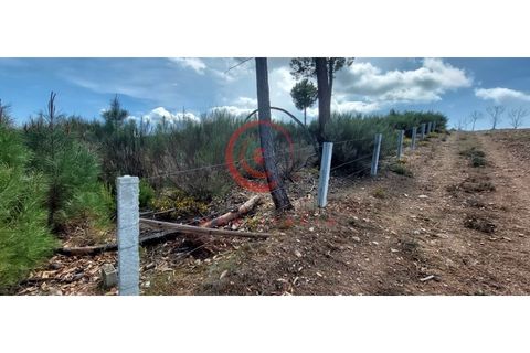 Helårsgrund i Murca, Vila Real, Murca - € 12.500 | Ref: CM01-0003 - foto 4
