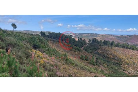 Helårsgrund i Murca, Vila Real, Murca - € 12.500 | Ref: CM01-0003 - foto 5