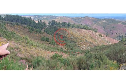 Helårsgrund i Murca, Vila Real, Murca - € 12.500 | Ref: CM01-0003 - foto 6