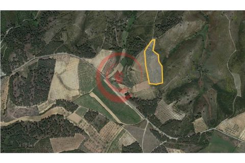 Helårsgrund i Murca, Vila Real, Murca - € 12.500 | Ref: CM01-0003 - foto 8