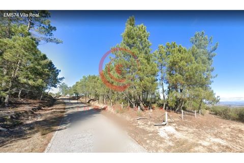 Tomt i Jou, Vila Real, Jou - € 11 500 | Ref: CM01-0002 - foto 2