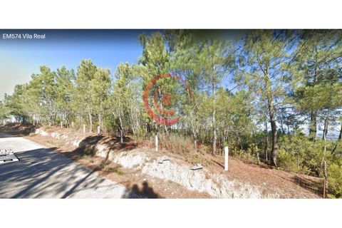 Tomt i Jou, Vila Real, Jou - € 11 500 | Ref: CM01-0002 - foto 4