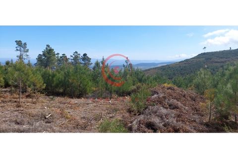 Tomt i Jou, Vila Real, Jou - € 11 500 | Ref: CM01-0002 - foto 5