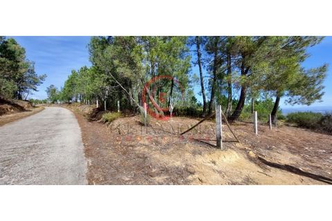 Tomt i Jou, Vila Real, Jou - € 11 500 | Ref: CM01-0002 - foto 14