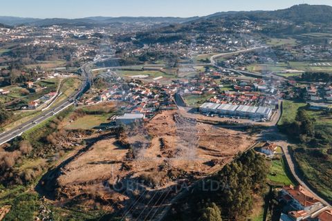 Tomt i Serzedelo, Braga, Serzedelo - € 1 500 000 | Ref: 001000012 - foto 2