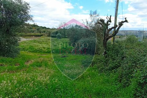 Helårsgrund i Viseu, Viseu, Viseu - € 97.000 | Ref: 2076/V - foto 2