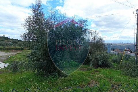 Helårsgrund i Viseu, Viseu, Viseu - € 97.000 | Ref: 2076/V - foto 3