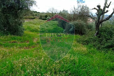 Helårsgrund i Viseu, Viseu, Viseu - € 97.000 | Ref: 2076/V - foto 4
