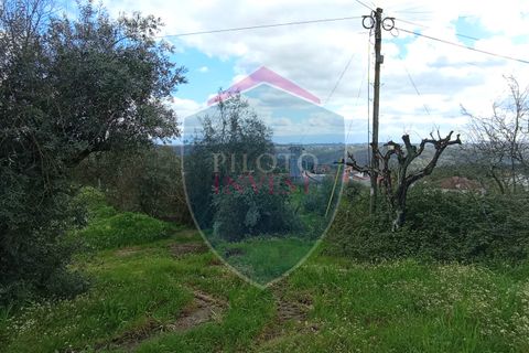 Helårsgrund i Viseu, Viseu, Viseu - € 97.000 | Ref: 2076/V - foto 5