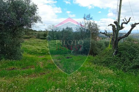 Helårsgrund i Viseu, Viseu, Viseu - € 97.000 | Ref: 2076/V - foto 6