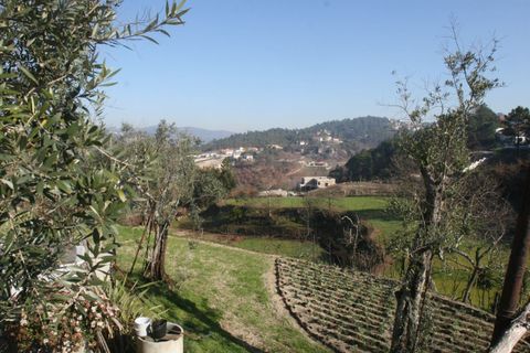 Farm i Amarante, Porto, Amarante - € 475.000 | Ref: AFD/00027 - foto 2