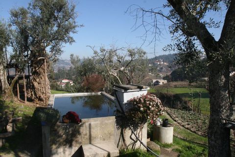 Farm i Amarante, Porto, Amarante - € 475.000 | Ref: AFD/00027 - foto 3
