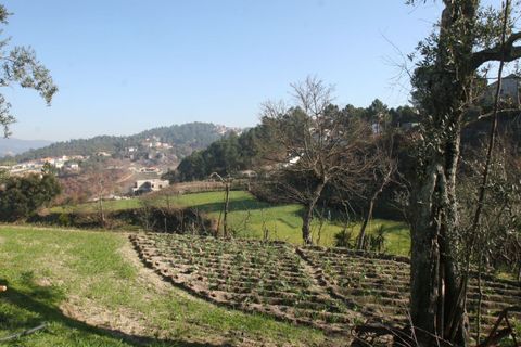 Farm i Amarante, Porto, Amarante - € 475.000 | Ref: AFD/00027 - foto 4