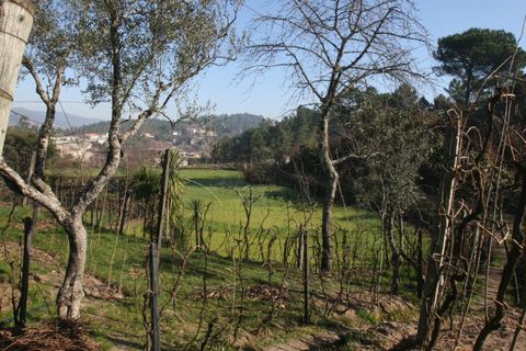Farm i Amarante, Porto, Amarante - € 475.000 | Ref: AFD/00027 - foto 5