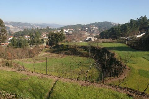 Farm i Amarante, Porto, Amarante - € 475.000 | Ref: AFD/00027 - foto 6