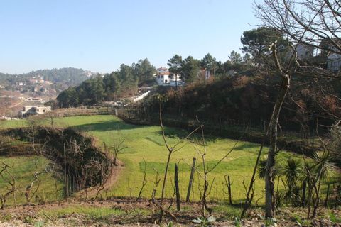 Farm i Amarante, Porto, Amarante - € 475.000 | Ref: AFD/00027 - foto 7