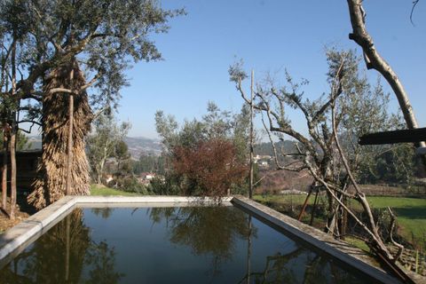 Farm i Amarante, Porto, Amarante - € 475.000 | Ref: AFD/00027 - foto 8