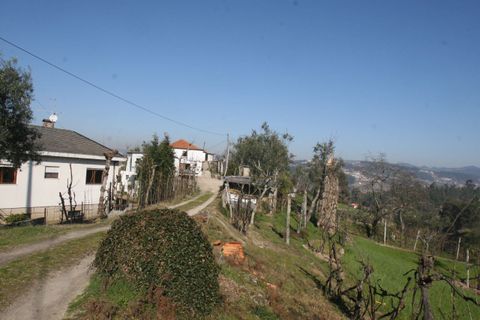 Farm i Amarante, Porto, Amarante - € 475.000 | Ref: AFD/00027 - foto 14