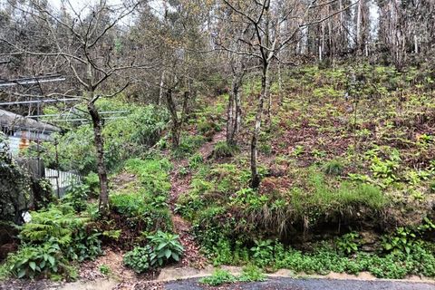 Terra a Angeja, Aveiro, Angeja - € 49.000 | Ref: AV24/032 - foto 3