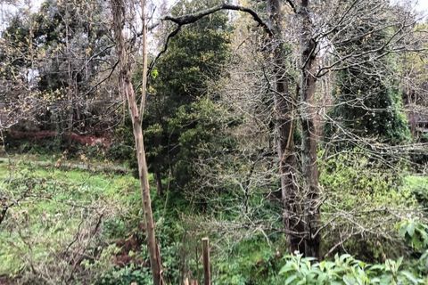 Terra a Angeja, Aveiro, Angeja - € 49.000 | Ref: AV24/032 - foto 8