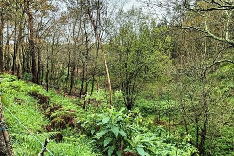 Terra a Angeja, Aveiro, Angeja - € 49.000 | Ref: AV24/032 - foto 9