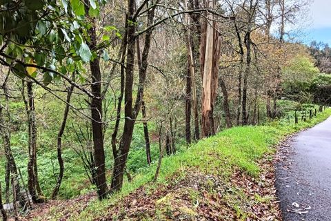 Terra a Angeja, Aveiro, Angeja - € 49.000 | Ref: AV24/032 - foto 11