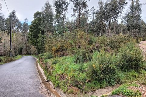 Terra a Angeja, Aveiro, Angeja - € 49.000 | Ref: AV24/032 - foto 12