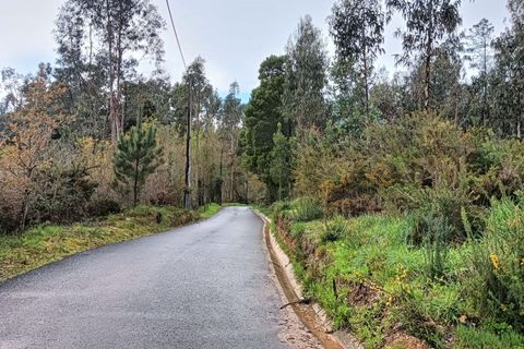 Terra a Angeja, Aveiro, Angeja - € 49.000 | Ref: AV24/032 - foto 13