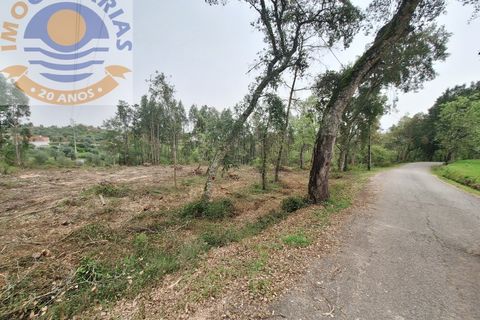 Helårsgrund i Ourem, Santarem, Ourem - € 49.000 | Ref: TER_701 - foto 3