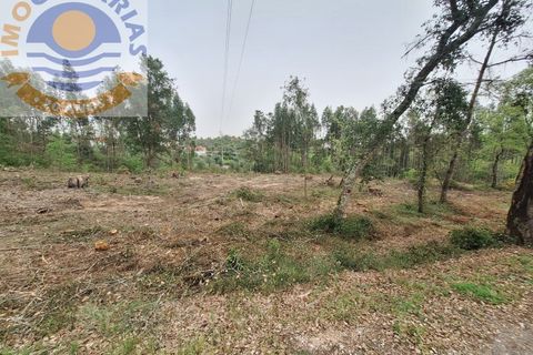 Helårsgrund i Ourem, Santarem, Ourem - € 49.000 | Ref: TER_701 - foto 4