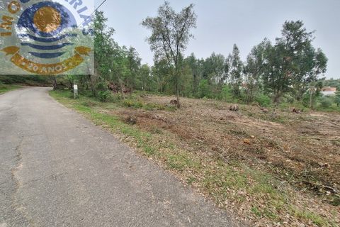 Helårsgrund i Ourem, Santarem, Ourem - € 49.000 | Ref: TER_701 - foto 5