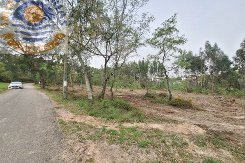 Helårsgrund i Ourem, Santarem, Ourem - € 49.000 | Ref: TER_701 - foto 6