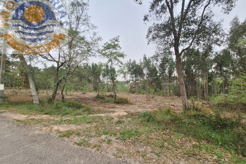 Helårsgrund i Ourem, Santarem, Ourem - € 49.000 | Ref: TER_701 - foto 7