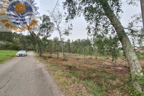 Helårsgrund i Ourem, Santarem, Ourem - € 49.000 | Ref: TER_701 - foto 8