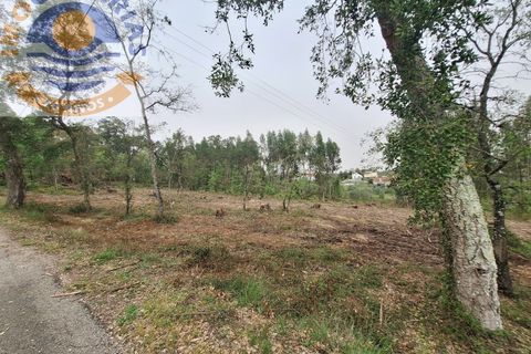 Helårsgrund i Ourem, Santarem, Ourem - € 49.000 | Ref: TER_701 - foto 9
