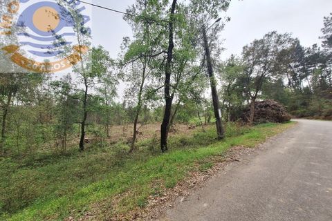 Helårsgrund i Ourem, Santarem, Ourem - € 49.000 | Ref: TER_701 - foto 10