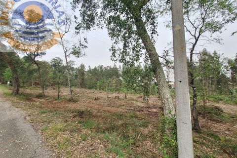 Helårsgrund i Ourem, Santarem, Ourem - € 49.000 | Ref: TER_701 - foto 11