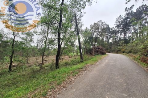 Helårsgrund i Ourem, Santarem, Ourem - € 49.000 | Ref: TER_701 - foto 12