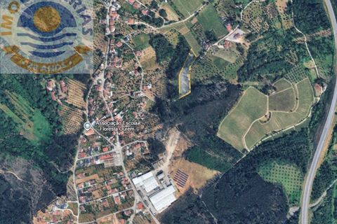 Helårsgrund i Ourem, Santarem, Ourem - € 49.000 | Ref: TER_701 - foto 2