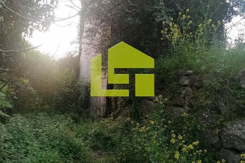 Rækkehus i Penela, Coimbra, Penela - € 30.000 | Ref: LT1117 - foto 2