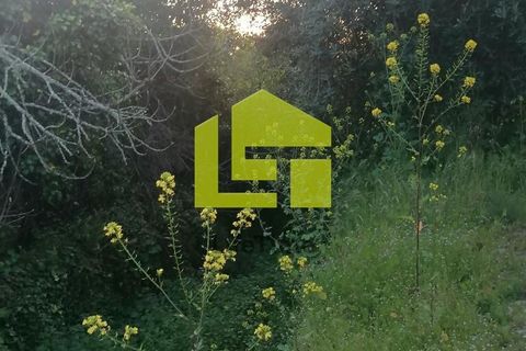 Rækkehus i Penela, Coimbra, Penela - € 30.000 | Ref: LT1117 - foto 4