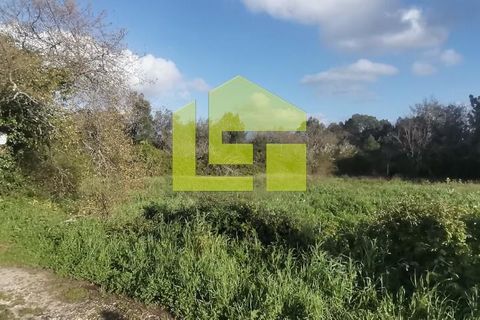 Helårsgrund i Coimbra, Coimbra, Coimbra - € 180.000 | Ref: LT1118 - foto 3