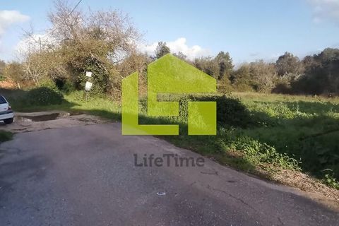Helårsgrund i Coimbra, Coimbra, Coimbra - € 180.000 | Ref: LT1118 - foto 5