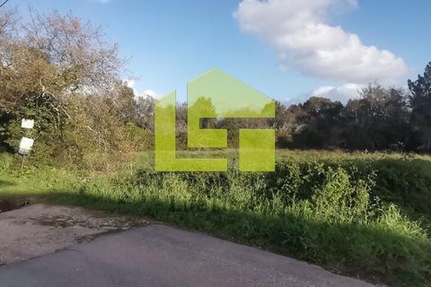 Helårsgrund i Coimbra, Coimbra, Coimbra - € 180.000 | Ref: LT1118 - foto 6