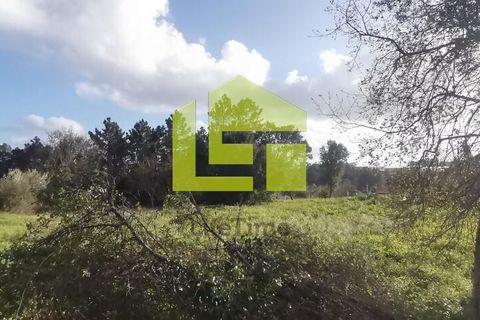Helårsgrund i Coimbra, Coimbra, Coimbra - € 180.000 | Ref: LT1118 - foto 9