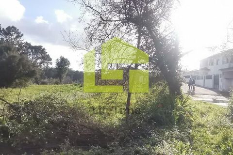 Helårsgrund i Coimbra, Coimbra, Coimbra - € 180.000 | Ref: LT1118 - foto 10