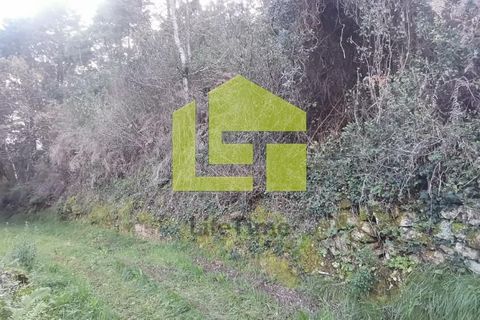 Helårsgrund i Coimbra, Coimbra, Coimbra - € 180.000 | Ref: LT1118 - foto 11