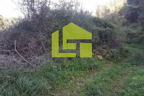 Helårsgrund i Coimbra, Coimbra, Coimbra - € 180.000 | Ref: LT1118 - foto 12