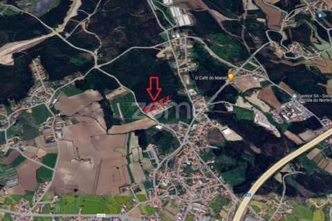 Helårsgrund i Trofa, Porto, Trofa - € 250.000 | Ref: ZMPT565769 - foto 3