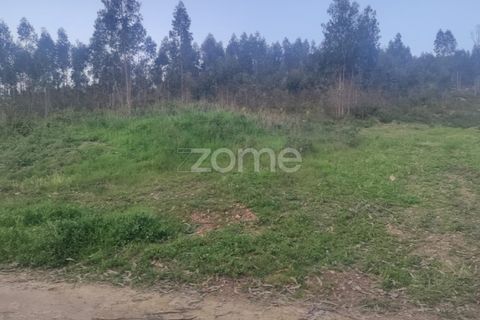 Helårsgrund i Trofa, Porto, Trofa - € 250.000 | Ref: ZMPT565769 - foto 4